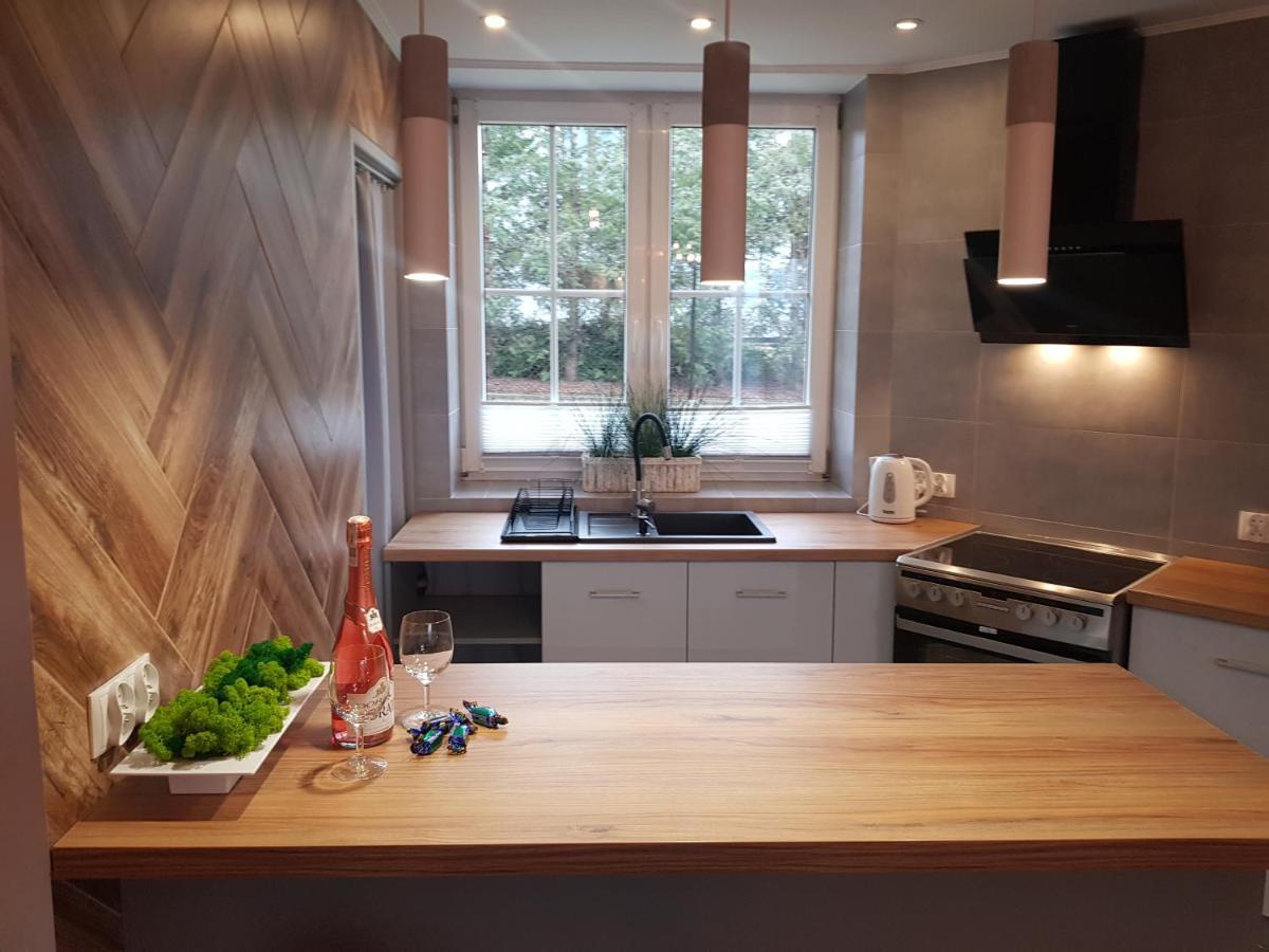Apartamenty Paszkowka Pietrzykowice  Kültér fotó
